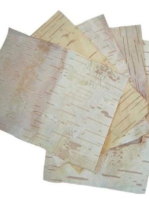 Natural Bhojpatra | Sacred Parchment for Mantras & Puja | Vrindavan Blessed Holy Leaf | Spiritual Bhojpatra Scroll