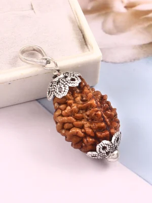 2 Mukhi Rudraksha Pendant | Healing Powers & Spiritual Energy | Natural Do Mukhi Rudraksha from Vrindavan