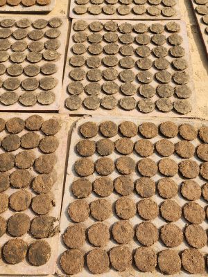 Agnihotra Cow Dung Cakes – 2 lb BOX (160 Cakes) | Natural Sun-Dried Ritual Fire Offering | Homa & Vedic Ceremony Supplies – Handmade in USA