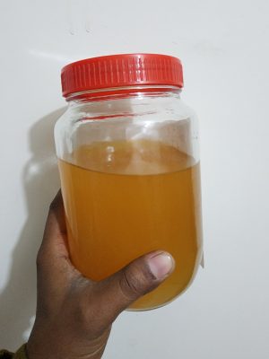 Pure Sacred Cow Urine (Gau Mutra) from Vrindavan | Natural & Holy Cow Urine for Pooja, Havan & Temple Use | Cow Worship Product | 100% Pure & Authentic