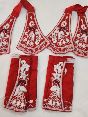 20241208_153323 Beautiful Gaura Nitai Dress – Handmade Embroidery Outfit for All Sizes, Devotional Wear from Vrindavan