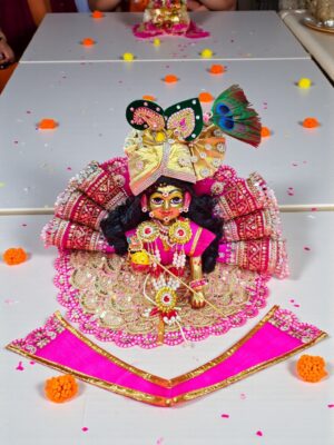 7Inch 8 no size। Brass Laddu Gopal Idol with Full Accessories, Bal Gopal Krishna Murti, Handmade Vrindavan Deity for Home Temple