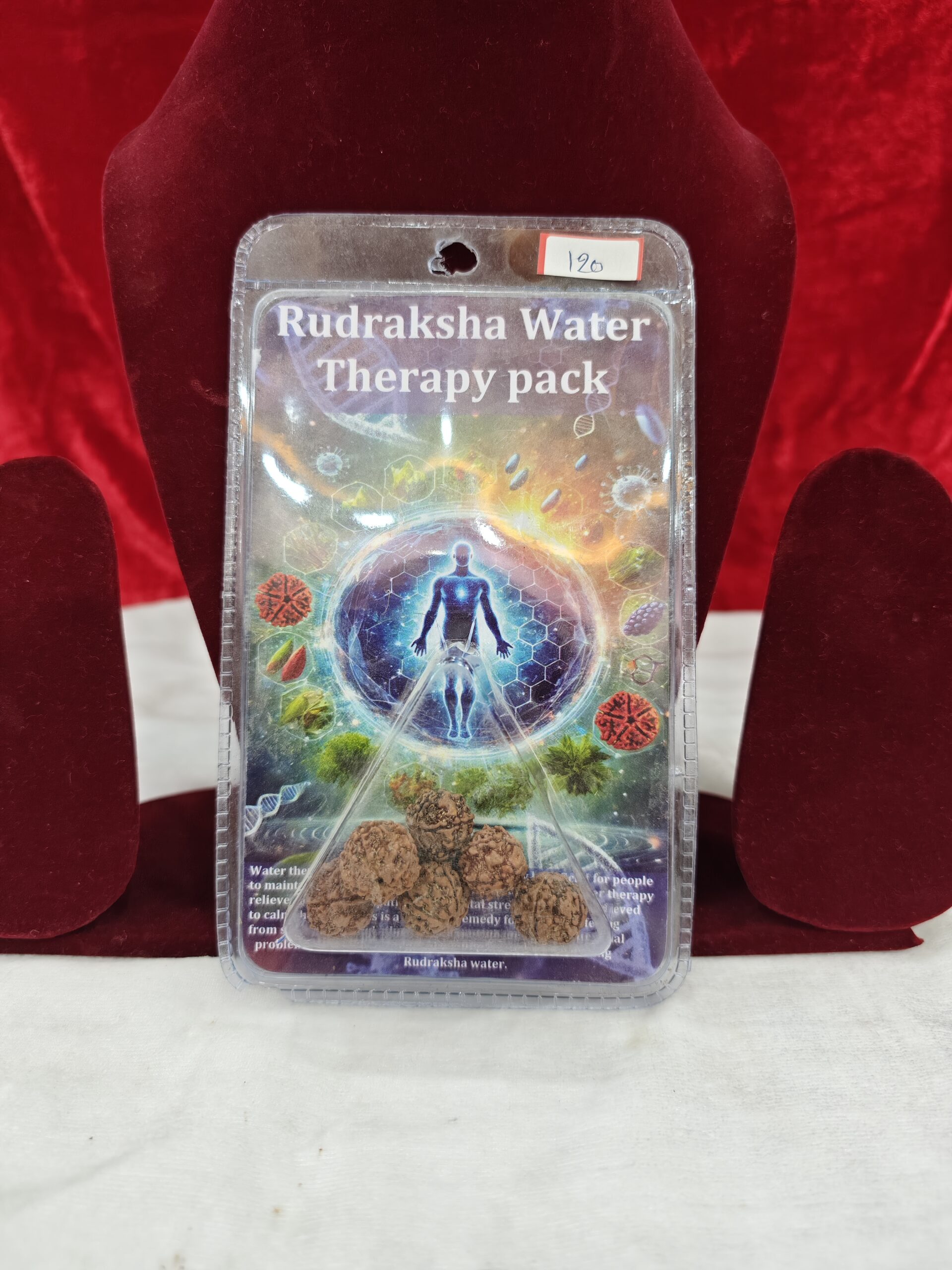 IMG_20260529_162724 Rudraksha Water Therapy Pack | Natural Rudraksha Beads Set | Spiritual Wellness Kit | Shiva Devotee Gift from India